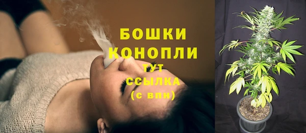 ПСИЛОЦИБИНОВЫЕ ГРИБЫ Армянск