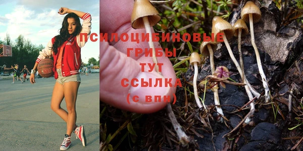 ПСИЛОЦИБИНОВЫЕ ГРИБЫ Армянск