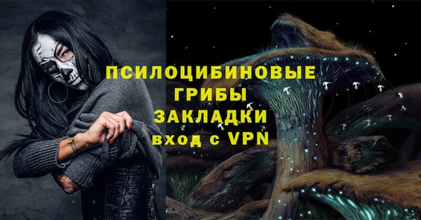 прущие грибы Арсеньев