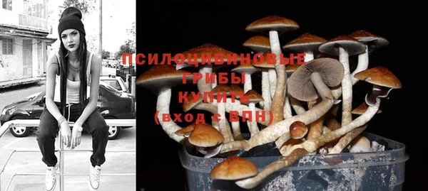 ешки Аркадак