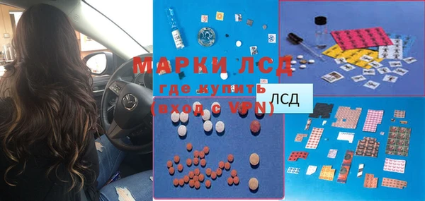 прущие грибы Арсеньев