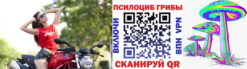 Галлюциногенные грибы Cubensis  блэк спрут ссылки  Собинка 